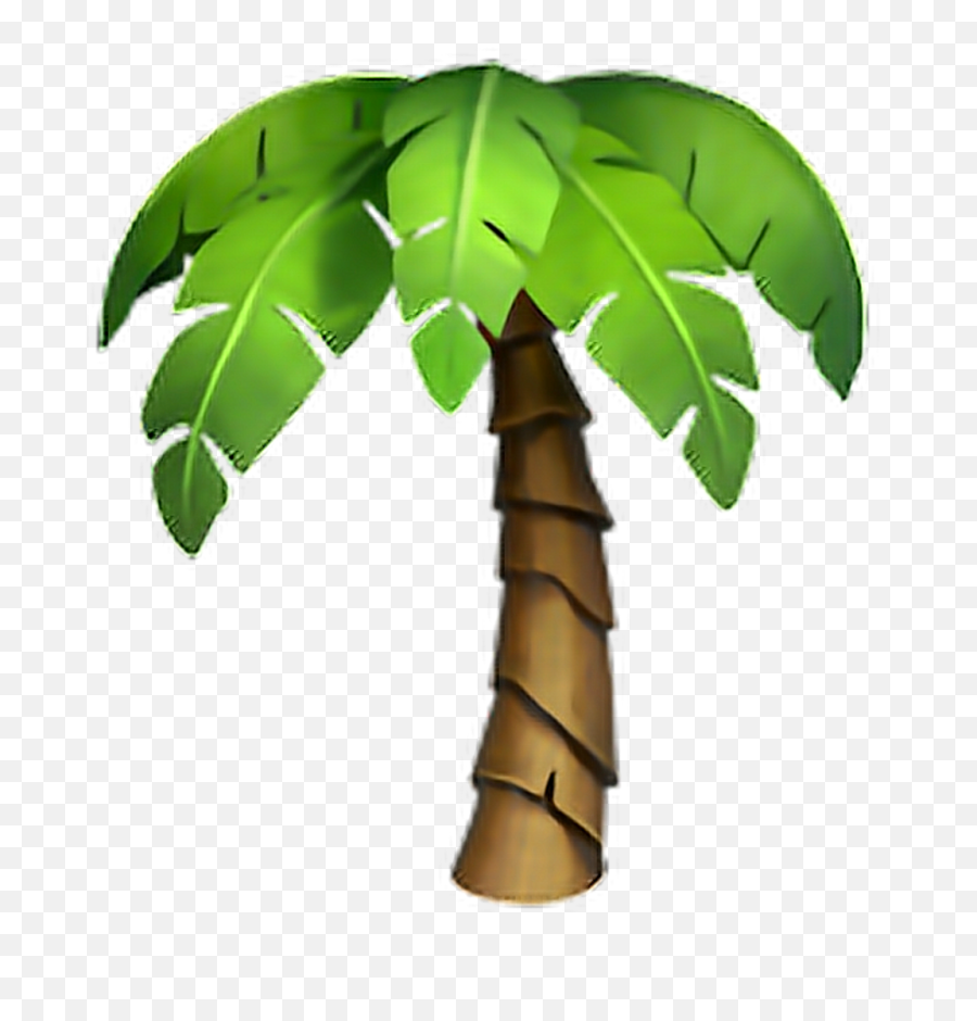 Download Iphone Emoji Flowers Palmtree Tree - Palm Tree Iphone Palm Tree Emoji Png,Palmtree Png