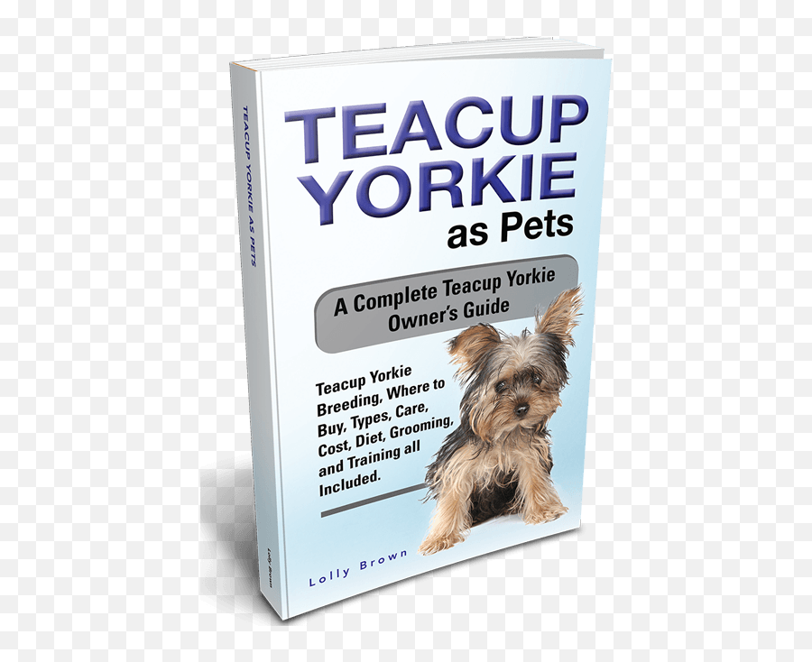 Teacup Yorkies Landing - Dog Supply Png,Yorkie Png