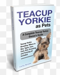 Teacup Yorkies Landing - Dog Supply Png,Yorkie Png
