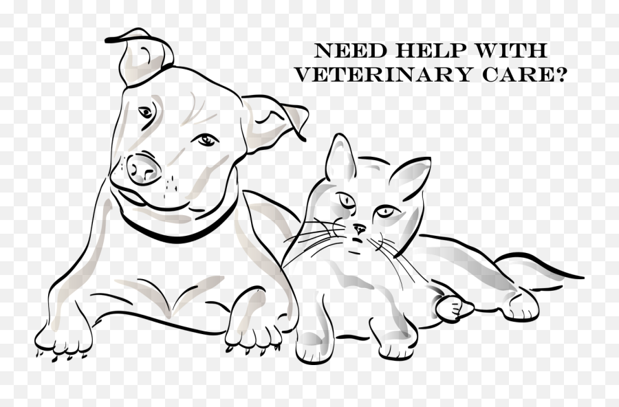 2000 Free Cat U0026 Animal Illustrations - Pixabay Dog And Cat Drawing Png,Transparent Cat
