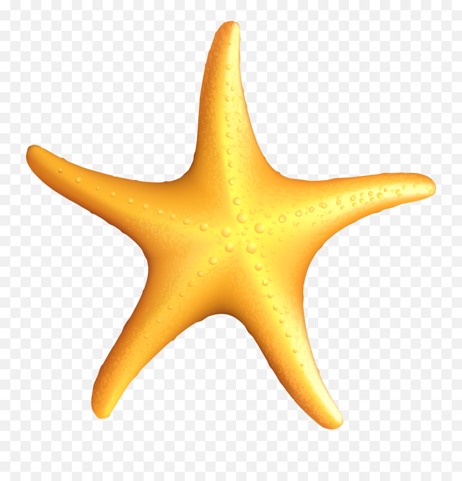Sea Star Png Background Image Arts - Star Fish Vector Png,Star Transparent Background