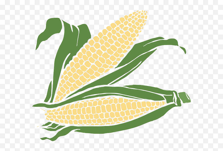 Corn Clipart Transparent Background - Corn Vector Png,Corn Transparent Background