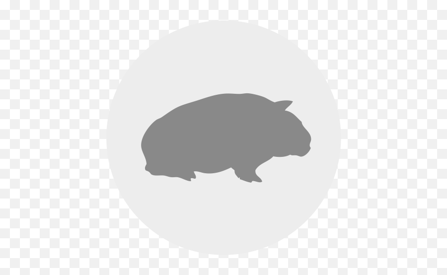 Catu0027s Best Universal - Pig Png,Wombat Icon