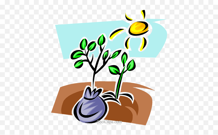 Seeds And Planting Royalty Free Vector Clip Art Illustration - Free Clip Art Plant Seed Png,Plant Icon Vector