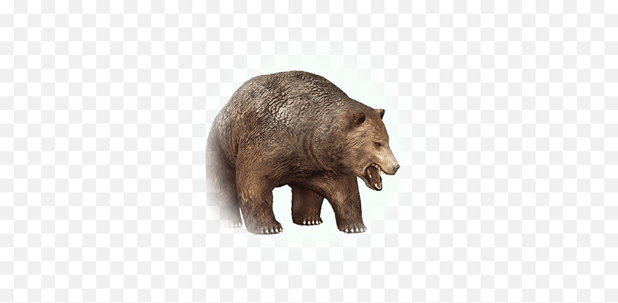 Balenos Bear - Bdo Codex Animal Figure Png,Grizzly Icon