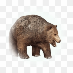 Balenos Bear - BDO Codex Animal Figure png