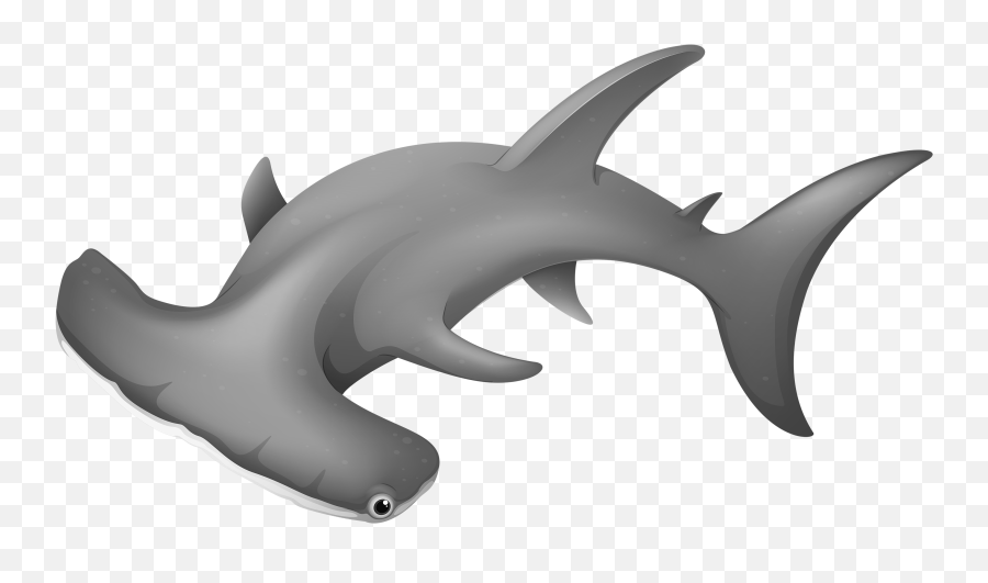 Hammerhead Shark Clip Art - Hammerhead Shark Photo Clipart Png,Sharks Png