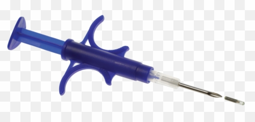 Download Hd Microchip Identification For Animals - Syringe Microchip Animal Id Png,Syringe Transparent Background