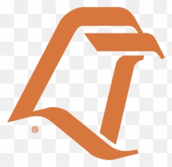 Download Bowling Green Falcons Logo Png - Bgsu Falcon Logo Png,Falcons Logo Png