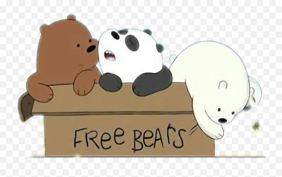 Library Of A Bear In Box Png Clip Art Free Files - We Bare Bears In A Box,We Bare Bears Png