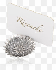 Place Marker Anemone - Nature Official Buccellati Website Label Png,Anemone Png