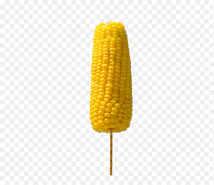 Download Corn Png Image - Corn Kernels Transparent Png Corn Kernels,Corn Stalk Png