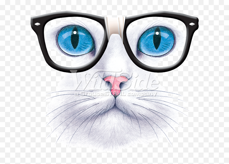 Download Hd Blue Eyed Cat With Nerd Glasses - Cat With Cat Face Glasses Png,Nerd Glasses Png