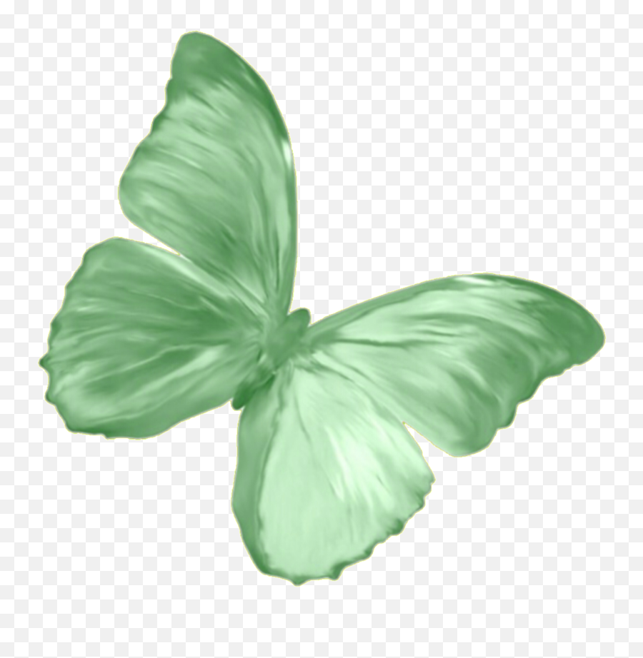 Download Sticker Png Butterfly Green Overlay - Pink Aesthetic Transparent Stickers,Butterfly Png Images