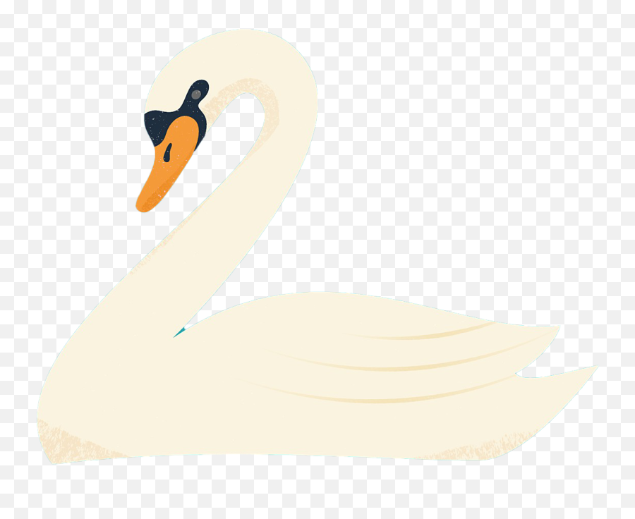 Swan Transparent Free Png - Swan,Ducks Png