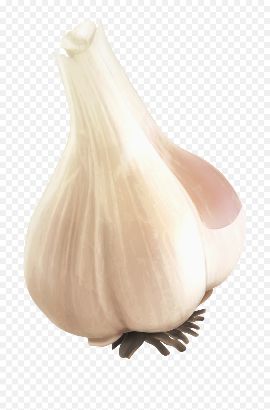 Garlic Png Image - Garlic Desain,Garlic Transparent Background