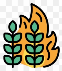 Crops Fire Icon Of Colored Outline - Clip Art Png,Crops Png