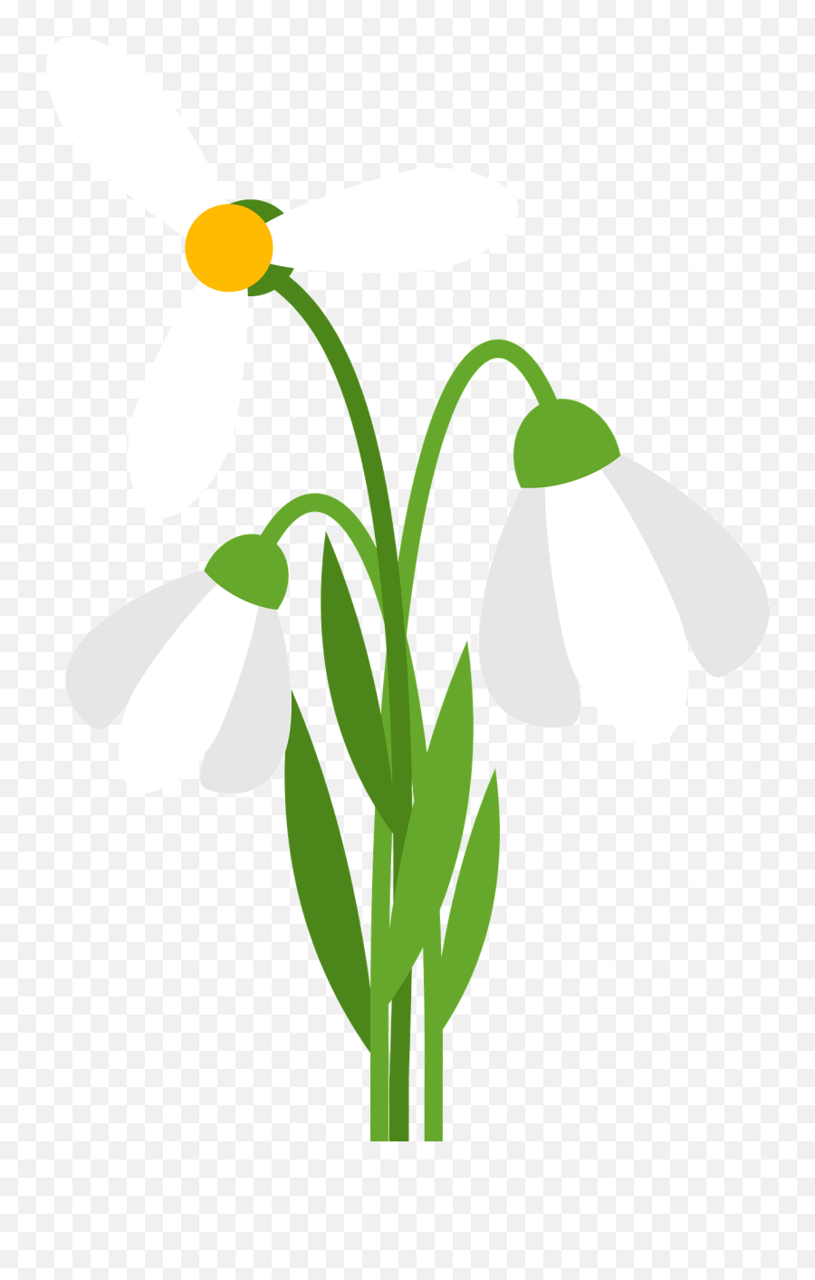White Flower Clipart - Illustration Png,White Flower Transparent
