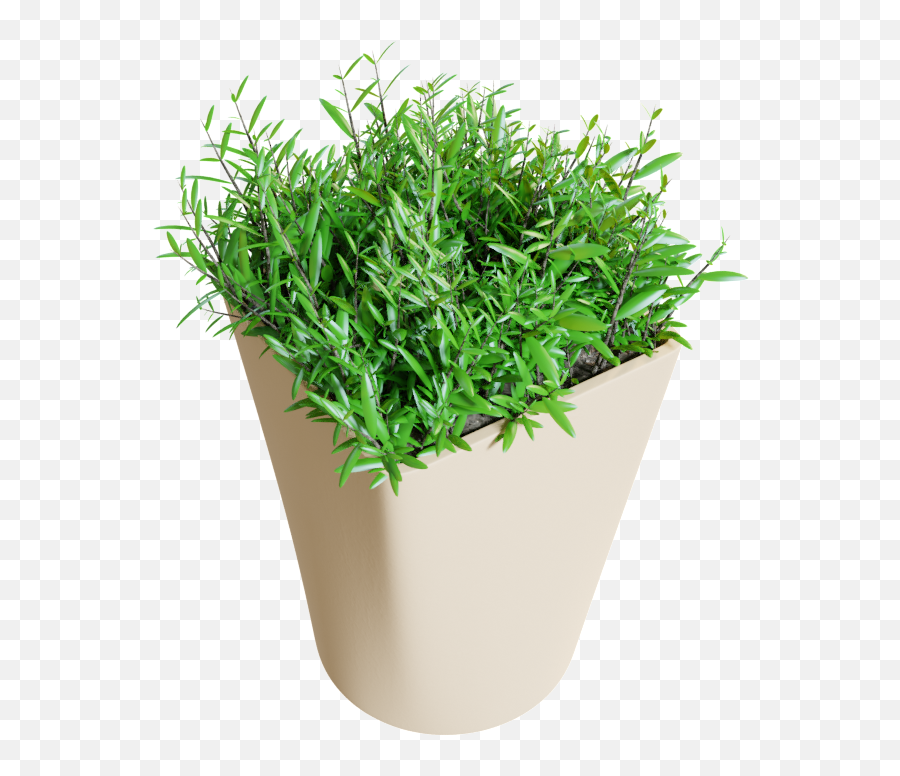 Blenderkit Plant Model Interior 05 By Cgcrafted - Flowerpot Png,Indoor Plant Png