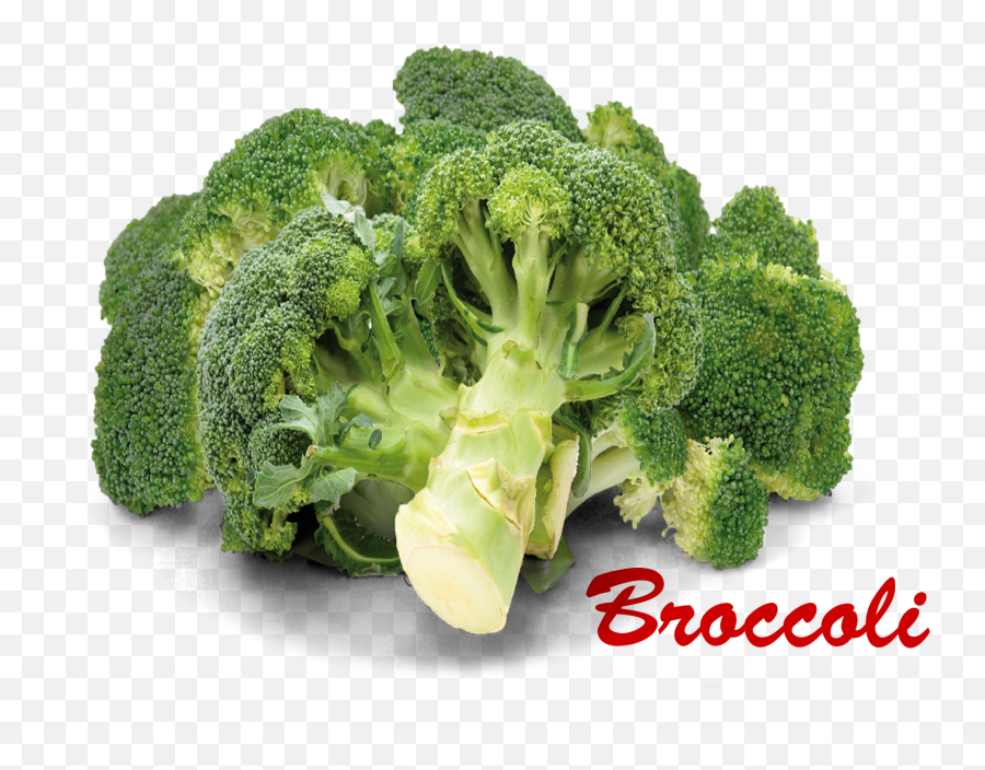 Broccoli Png - Broccoli Images With Names,Broccoli Transparent Background