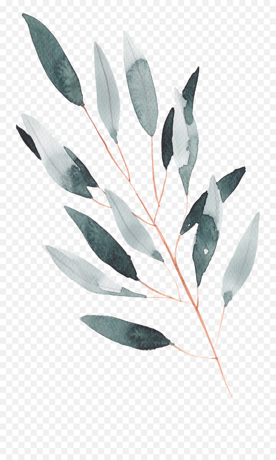 Download Hand Painted A Leaf Watercolor Transparent - Transparent Watercolor Leaves Png,Leaf With Transparent Background