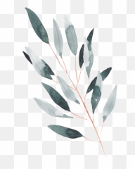 Download Hand Painted A Leaf Watercolor Transparent - Transparent Watercolor Leaves Png,Leaf With Transparent Background