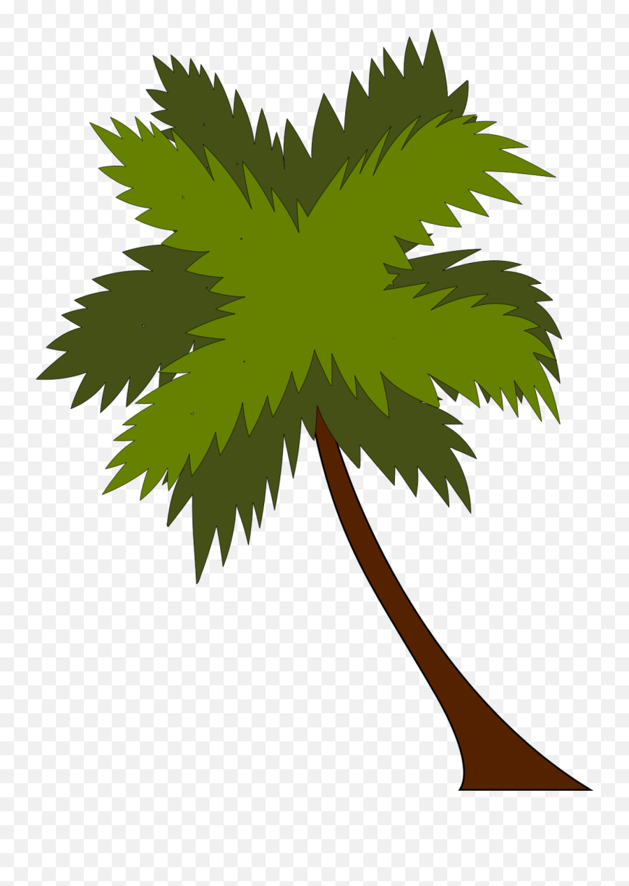Coco Tree Png 900px Large Size - Clip Arts Free And Png Beach Resort,Large Tree Png