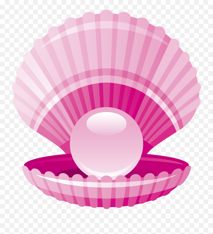 Download Clam Pearl Seashell - Shell Cartoon Png,Clam Png - free  transparent png images 