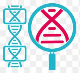 Whole Exome Sequencing Services Macrogen Europe - Icon png