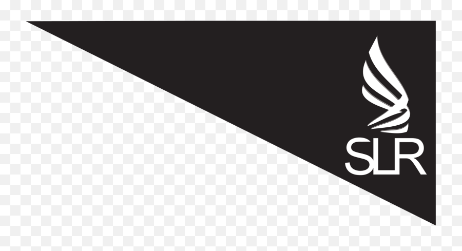 Slrflight Logo Design And Video Mask - Royal Prince Png,Youtube Logo Small