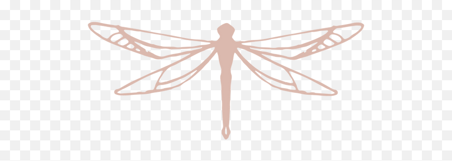 Re - Becoming Women In Midlife Odonata Png,Voxer Icon