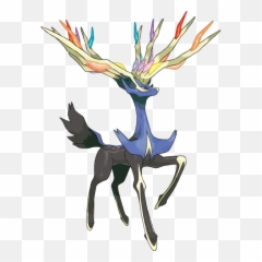 Top 5 Most Beautiful Legendary Pokemon - Pokémon X And Y Png,Legendary Pokemon Png