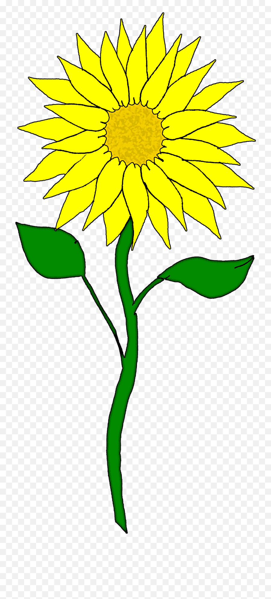 20 Yellow Cliparts Png August Sunflower For Free Download On Transparent