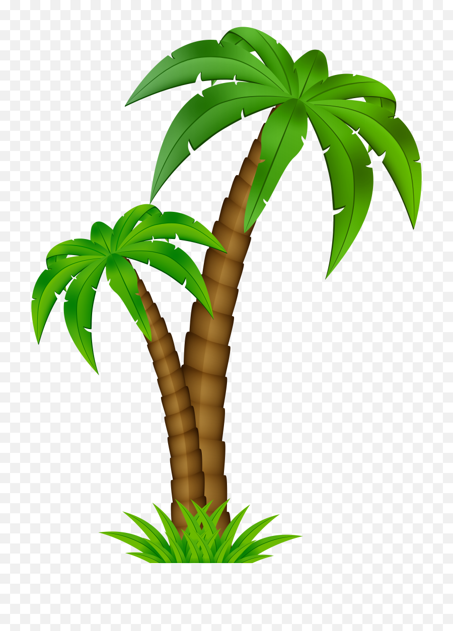 Palm Tree Cartoon Png Clipart - Cartoon Palm Tree Clip Art,Palm Png