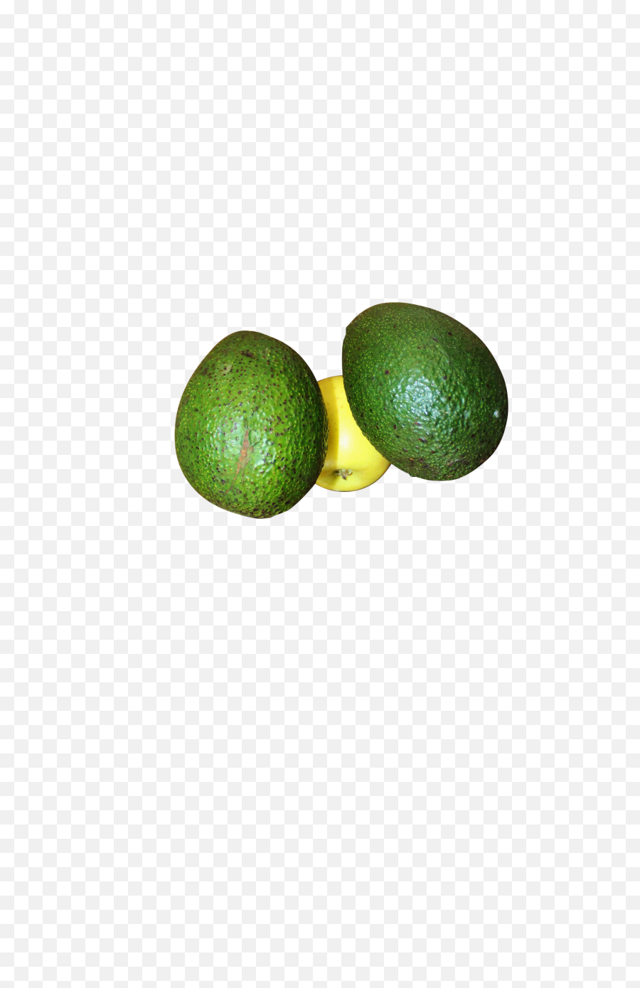 Avocado Png Image - Persian Lime,Avocado Transparent Background