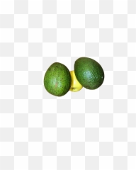 Avocado Png Image - Persian Lime,Avocado Transparent Background