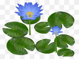 Water Lily Png Clipart Mart - Water Lily Clipart Png,Lilies Png