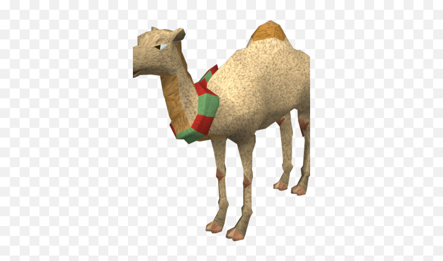 Louis The Camel - Arabian Camel Png,Camel Png