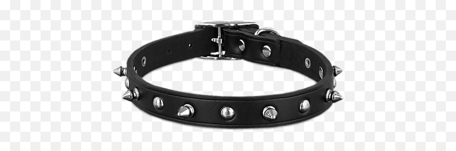 Spike Dog Collar Transparent Png - Dog Leather Spiked Collars,Collar Png