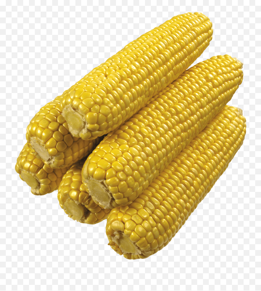 Full Candy Corn - Corn On The Cob No Background,Corn Cob Png