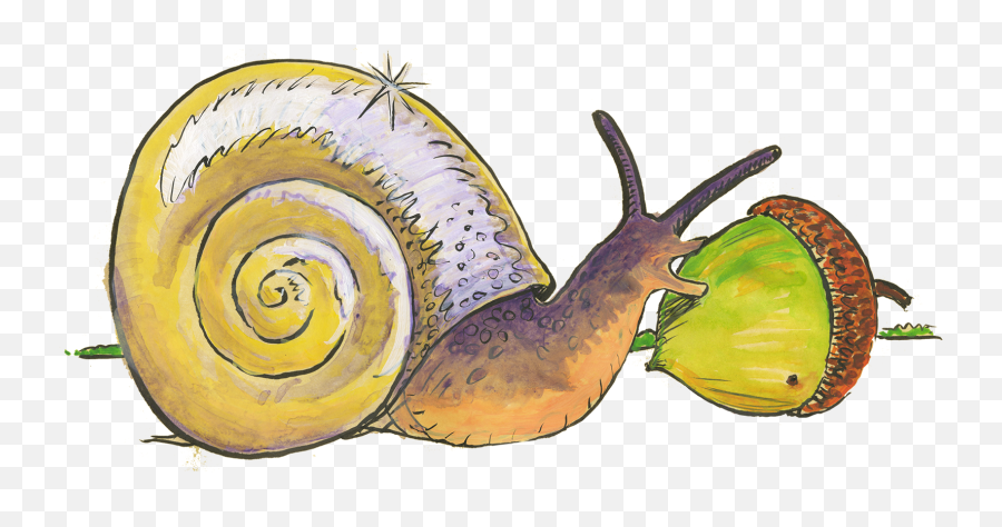 Snail Food Png Picture 635848 - Lymnaeidae,Slug Png