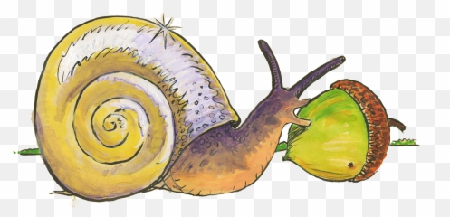 Snail Food Png Picture 635848 - Lymnaeidae,Slug Png