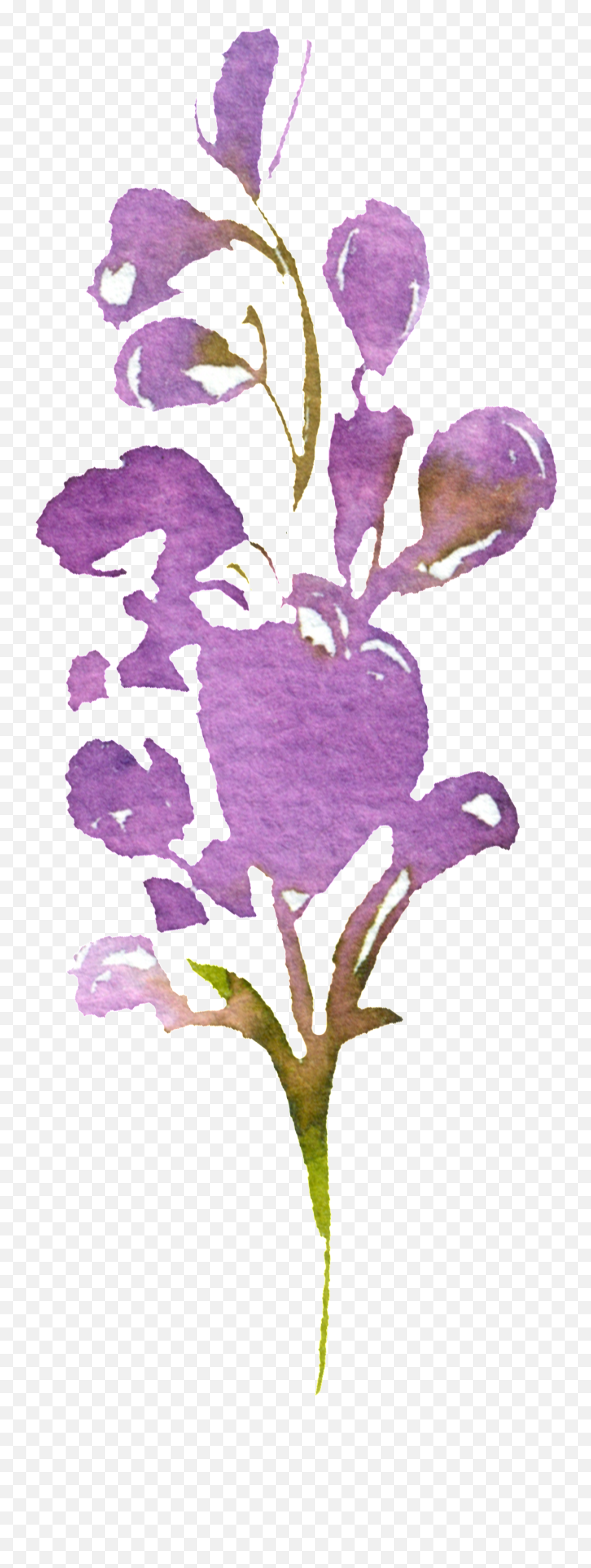 Hand Painted Purple Watercolor Flower Png Transparent - Spring Crocus,Purple Watercolor Png