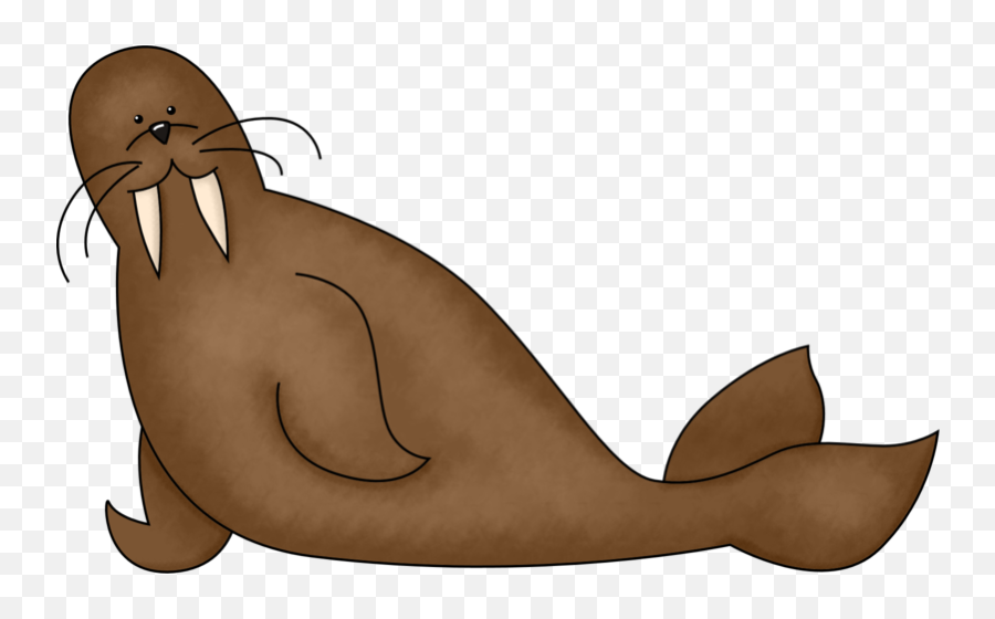 Download Free Png Walrus Photos - Walrus Clip Art,Walrus Png