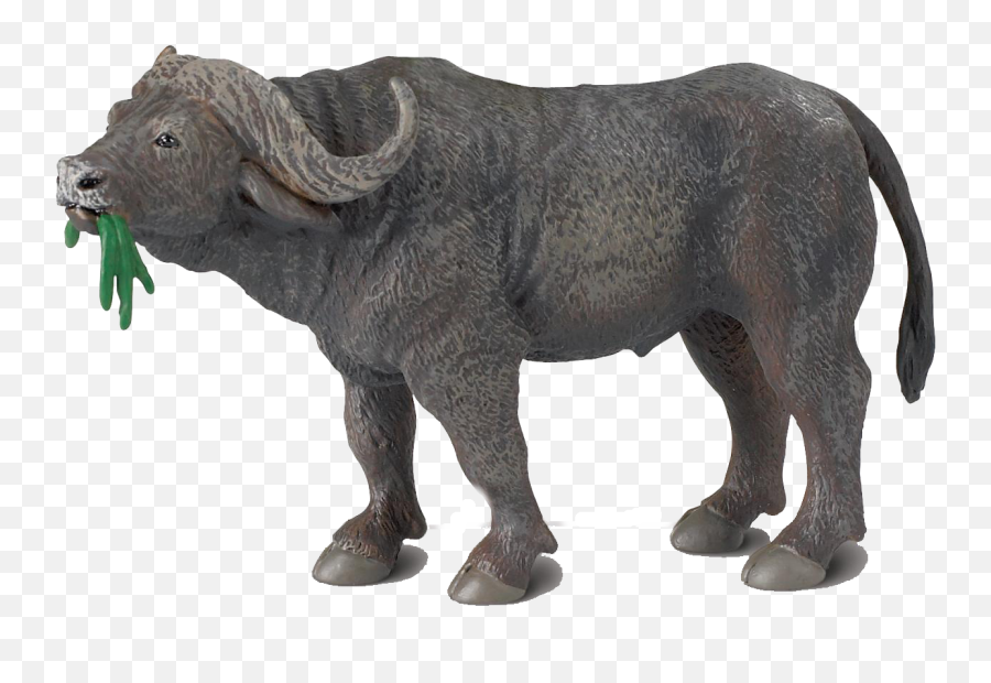 African Buffalo Png Images Transparent - Buffalo Toy,Buffalo Png