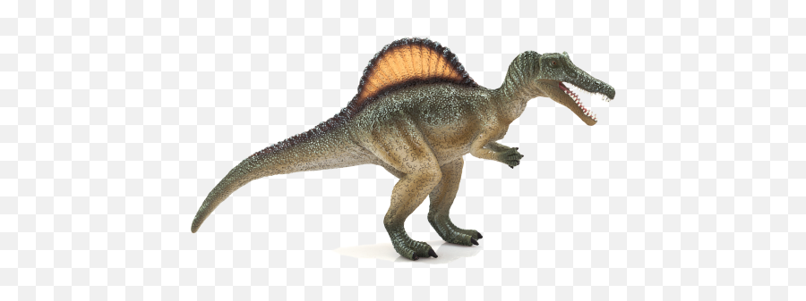 Spinosaurus Png Image - Spinosaurus Dinosaur,Spinosaurus Png