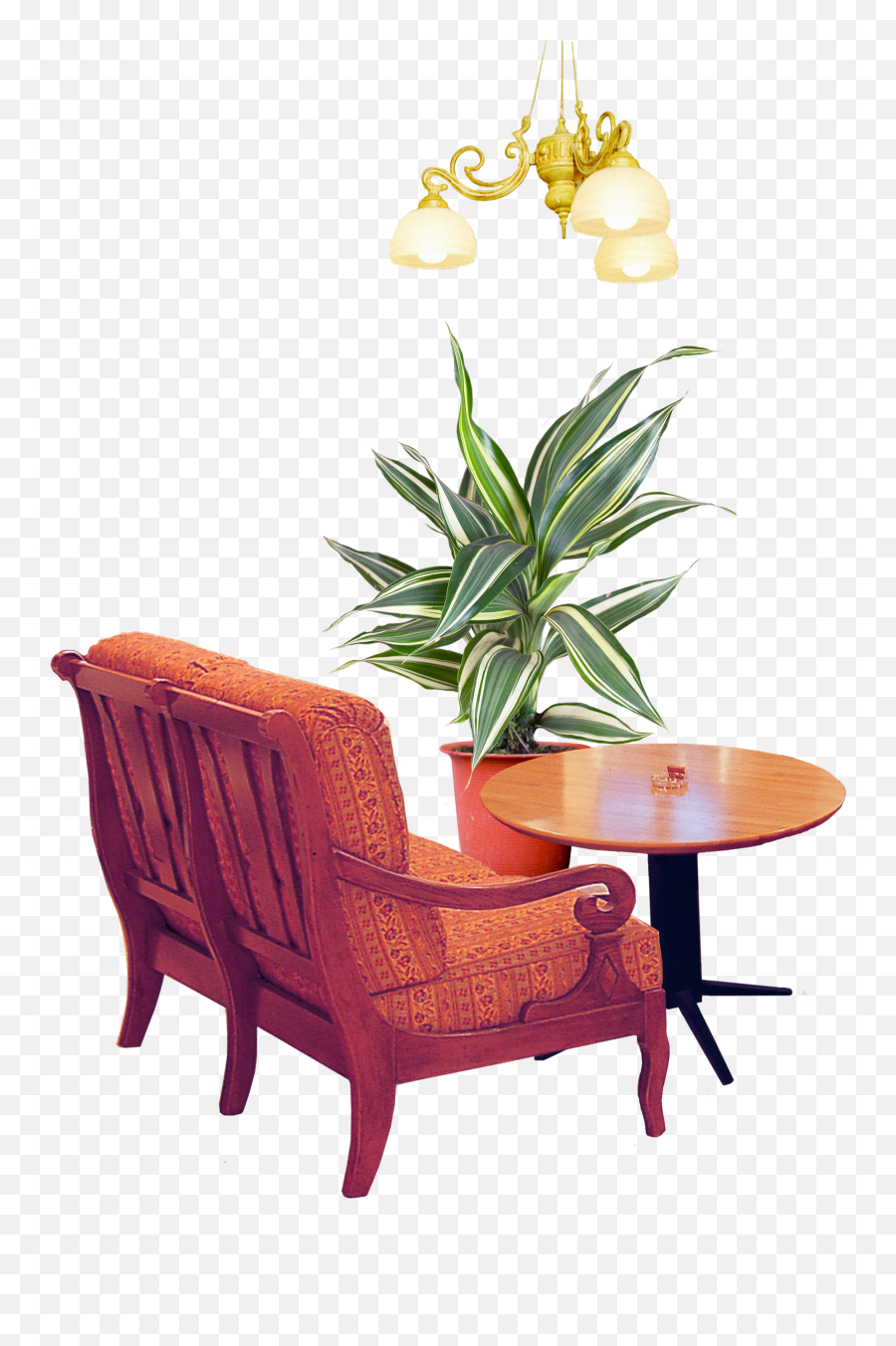 Outdoor Potted Plants Png - Png Transparent Interior Design Elements Png,Potted Plants Png