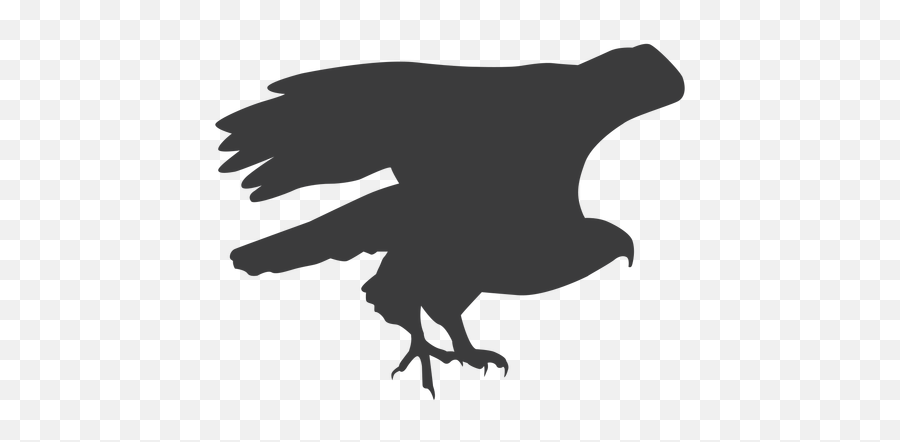 Eagle Wing Fly Flying Beak Talon Silhouette Bird - Automotive Decal Png,Flying Bird Png