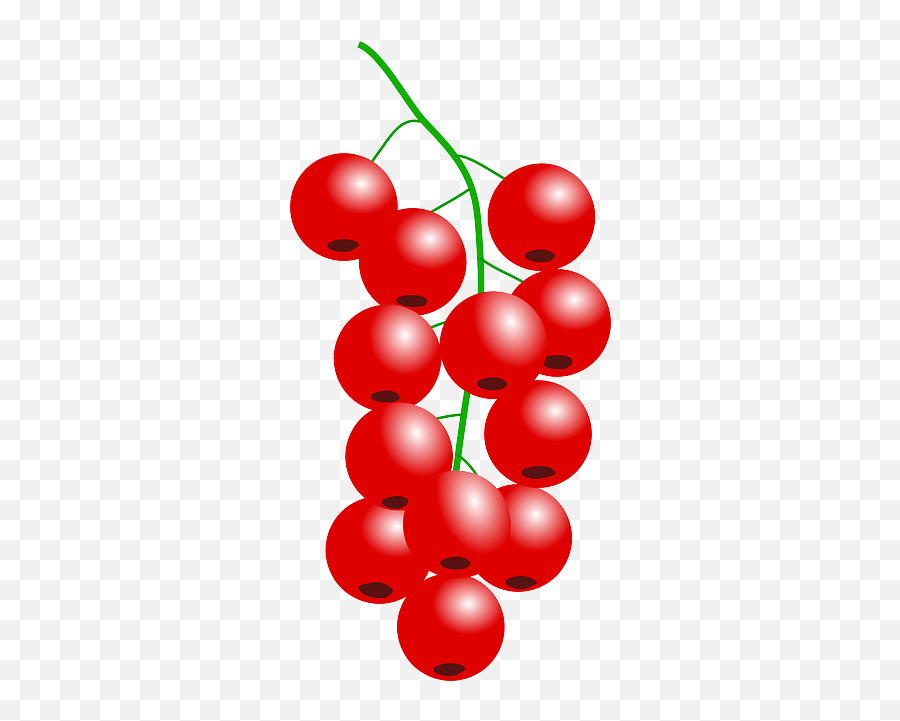 Free Clip Art - Cranberry Clip Art Png,Cranberries Png