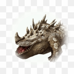 Bdo Big Horn Triangle Head Salaman Bddatabasenetusnpc - Salamander png